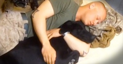 This Marine Is Finally Reunited With His ‘Brother’ – And It’s A Tail-Wagging Story! 