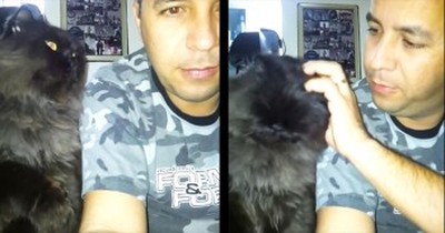 This Kitty Is Ready For More Affection – And He Wants It NOW! 