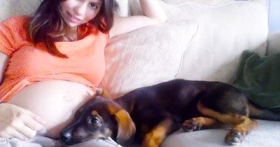 This Mommy-To-Be Is Sharing Her News With The Furriest Of Friends – And It’s Completely Precious!