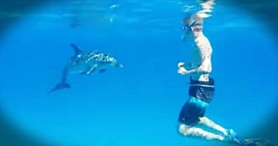 I Don't Know What's Better, The Friendly Dolphin Or The Giggling Snorkler! So Sweet! 