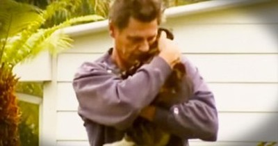 When Her House Was On Fire, This Kitty Did Something HEROIC – And I’m In Complete Shock! 