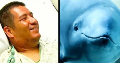 God Gave This Porpoise A PURPOSE – And 1 Man Is Forever Thankful 