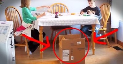 These 2 Kids Are SO Happy And All Because Of 1 Box. This Gets 4 PAWS Up! 