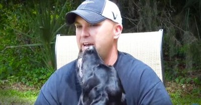 This Veteran Had A Break Down During An Interview. But His DOG Made Everything Okay! 