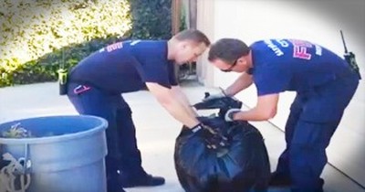These Firefighters Went Above The Call Of Duty When They Performed THIS Act Of Kindness 