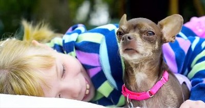 This Deformed Rescue Dog Was Homeless. Until She Met 1 Girl With A Beautiful HEART! 