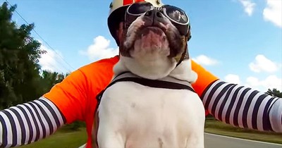 This Pup Is Bad To The BONE! And What She Does NEXT Had Me LOLing For Days!