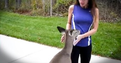 This Woman Gets A Surprise Visitor From The Woods Every Day. And It Just Melted My Heart! 