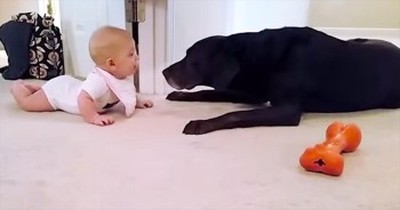 I Didn't Think Baby's First Crawl Could Get Any Cuter. Until The PRECIOUS Ending! 