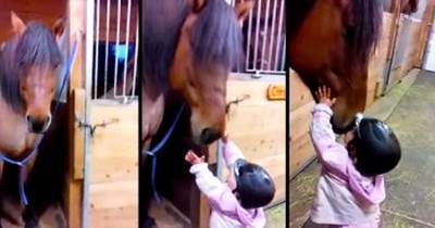 Adorable Baby Kisses Her Horse Goodbye – AWW! 
