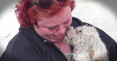 Homeless Poodle Brings Her Rescuer To Tears 