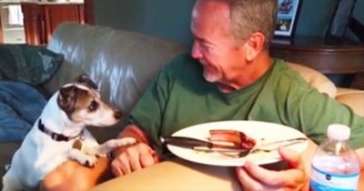 Dog And His Owner Eye The Dinner Plate At The Same Time 