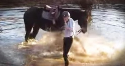 Adorable Horse Brings The Smiles When He Splashes Around In The River 