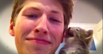 Kitten Tries To Meow In The Most Adorable Way 