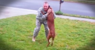 Soldier Returns From Deployment And Has Emotional Reunion With Dog  