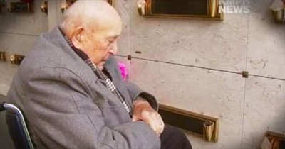 Man Returns To God After Witnessing Flowers For Deceased Wife Turning Purple 