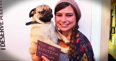 Pug Spreads Inspirational Messages Around City 