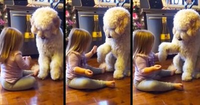 Adorable Little Girl Teaches Patient Pup New Tricks  