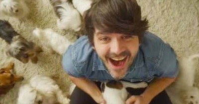 22 Puppies Help A Man Get Over Breakup In New Cary Brothers Music Video 