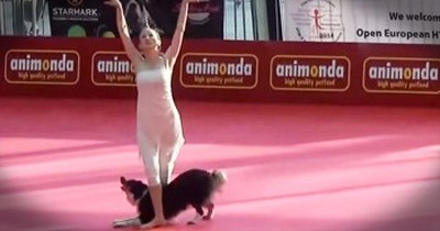Precious Pup And Her Human Perform Talented Ballet Dance 