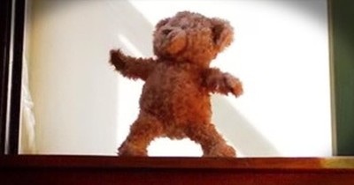 Excited Teddy Bear Gets Ready For New Baby 