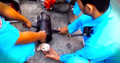 Heartwarming Rescue of a Poor Pup From An EXHAUST PIPE!