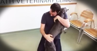 Stolen Dog Has AMAZING Reunion With Owner 