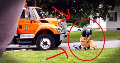 Garbage Man And Golden Retriever Will Make Your Smile With Unlikely Friendship 