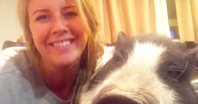 Virginia The Pig Does NOT Want To Cuddle