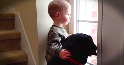Toddler Comforts Dog Who Misses Family