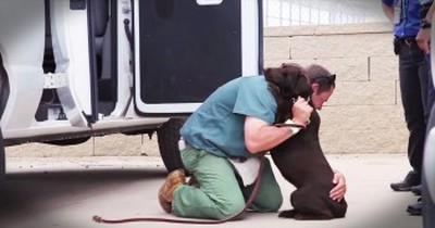 Abused Dog Gets Second Chance In Prison 