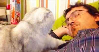 Kitty Has Hilarious Routine While Owner Naps 
