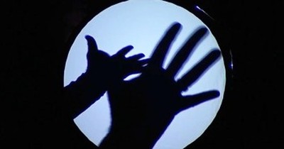 Amazing Hand Shadow Performance Will Have You Laughing For Days! 
