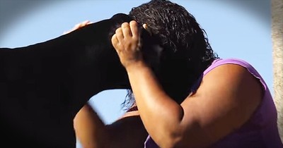 Great Dane Saves His Human From Abusive Boyfriend