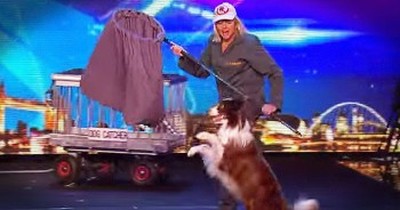 Talented Dog And Trainer Seriously Impress The Judges With Hilarious Routine 