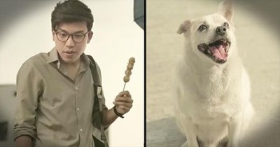Stray Dog Gives Back To Man Who Fed Him 