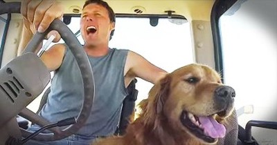 ‘Farm Dog’ - Farmer’s Hilarious Parody Will Get Stuck In Your Head 