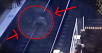 Grandpa Jumps In Front Of Train To Save 18-Month-Old 
