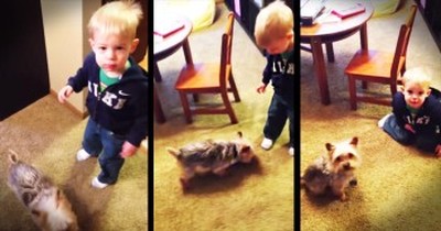 Little Boy Sits On Command When Dog Doesn’t 