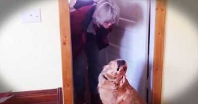 Dog Hilariously Rejects Her Human’s Kisses 