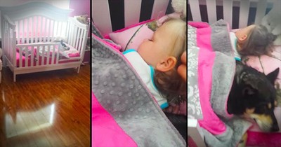 Mother Finds Dog And Baby Sleeping In The Crib Together