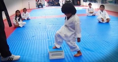 Tiny Taekwondo Master Hilariously Breaks Board 