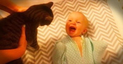 Baby Is So Excited To See The Cat 