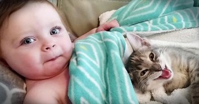 Baby And Kitten Wake Up From The CUTEST Nap 