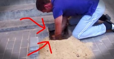 Rescuers Discover Dog Trapped Underneath Bricks 