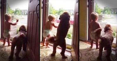 Baby And Pup Do The CUTEST Dance When Daddy Comes Home 