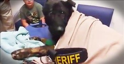 Police Officers Give Hero German Shepherd An Emotional Goodbye 