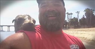 Friendly Seal Jumps On Man’s Boat – AWW! 