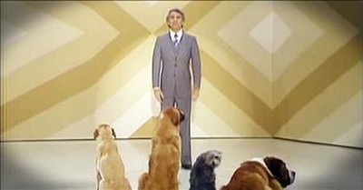 Steve Martin's Comedy Routine For Dogs Is Hilarious...For Humans! 