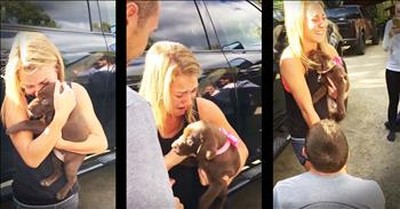 Puppy Gift Turns Into Surprise Proposal 
